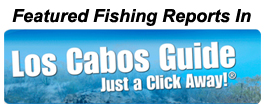 Los Cabos Guide